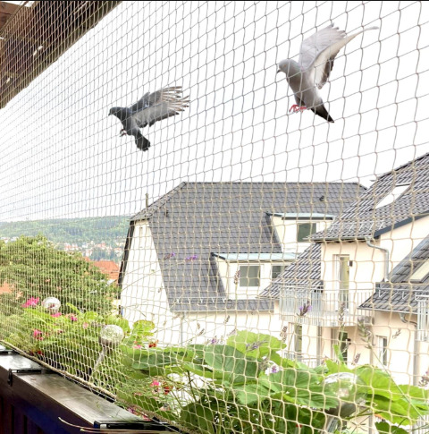 Pigeon Nets