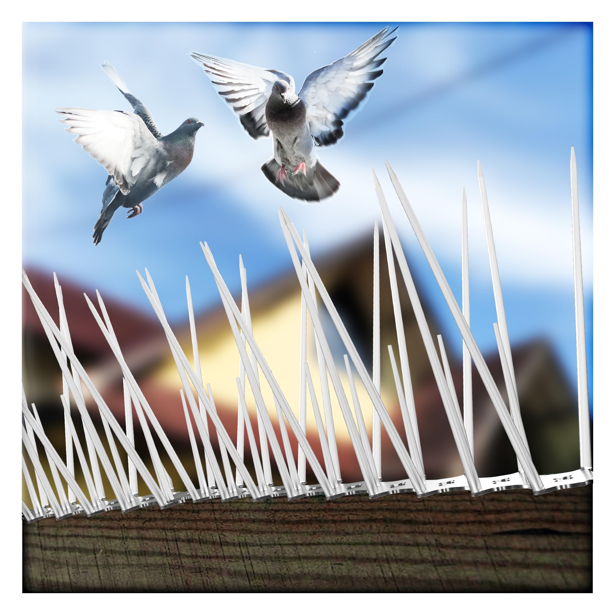 Anti-Bird Spikes